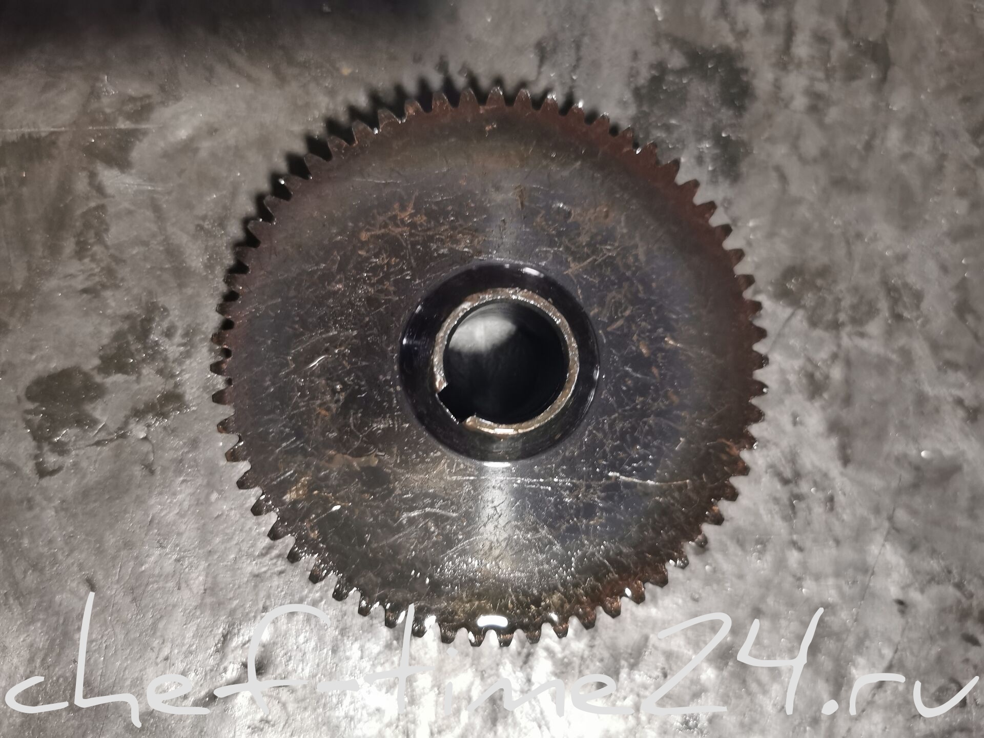 ШЕСТЕРНЯ ЗУБЧАТОЙ ПЕРЕДАЧИ ШПРИЦА КОЛБАСНОГО CP-SV3/5/7_old